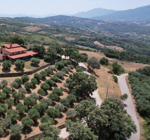 四人豪华间, Tenuta Raimo