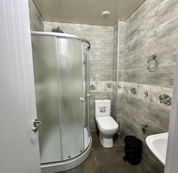 اتاق لوکس سه تخته, Georgia