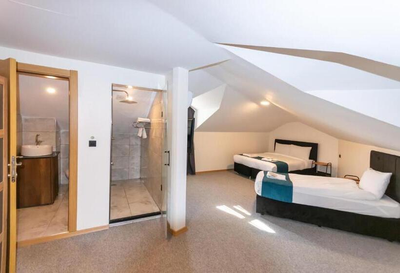 디럭스 트리플 룸, New Garden Airport