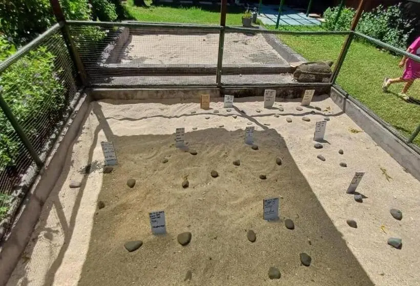 オーシャンビューデラックスルーム, The Beach Bungalows & Turtle Sanctuary