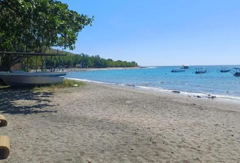 デラックスルーム, The Beach Bungalows & Turtle Sanctuary