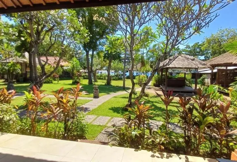 デラックスルーム, The Beach Bungalows & Turtle Sanctuary