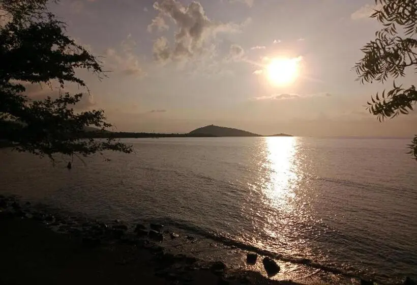 デラックスルーム, The Beach Bungalows & Turtle Sanctuary