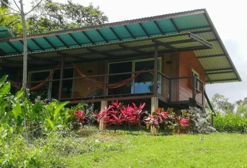 اتاق خانوادگی, Finca Maresia