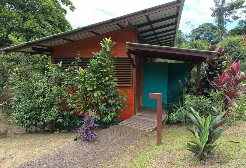 اتاق لوکس, Finca Maresia