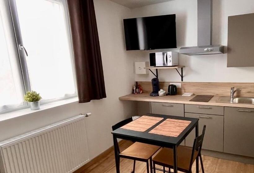 수피리어 스튜디오, Appart Hotel Gambetta