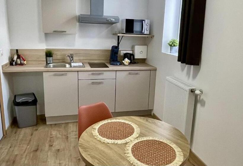 1침실 클래식 아파트, Appart Hotel Gambetta