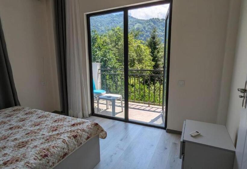 اتاق استاندارد, Palm Gonio