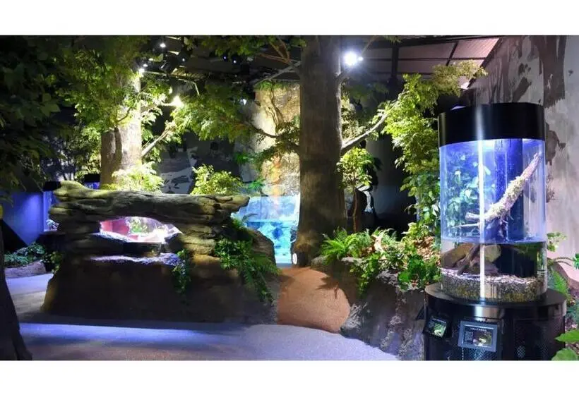 スタンダードスタジオ, Ashizuri Sunnyside Hotel Vacation Stay 32473v