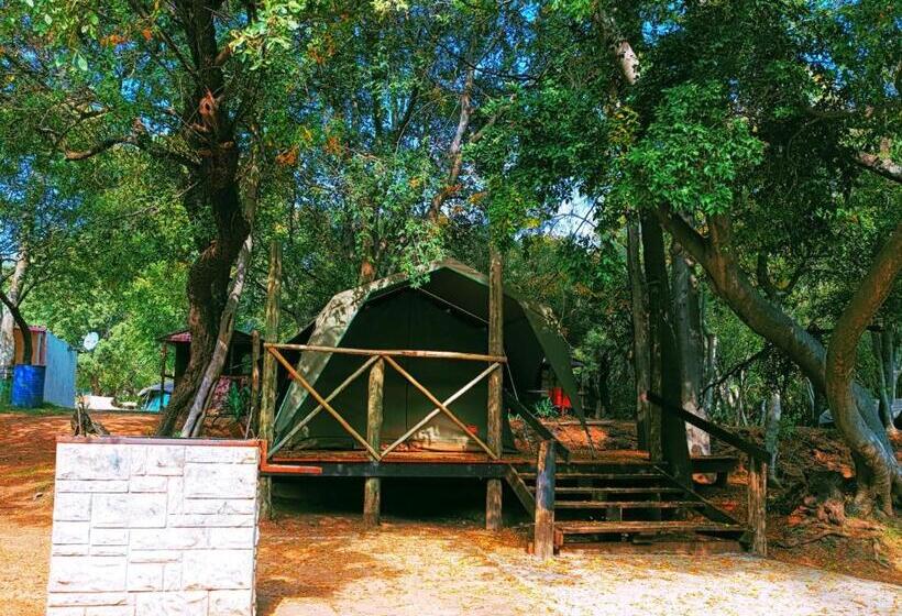 Standard Tent, Westvaal Holiday Resort