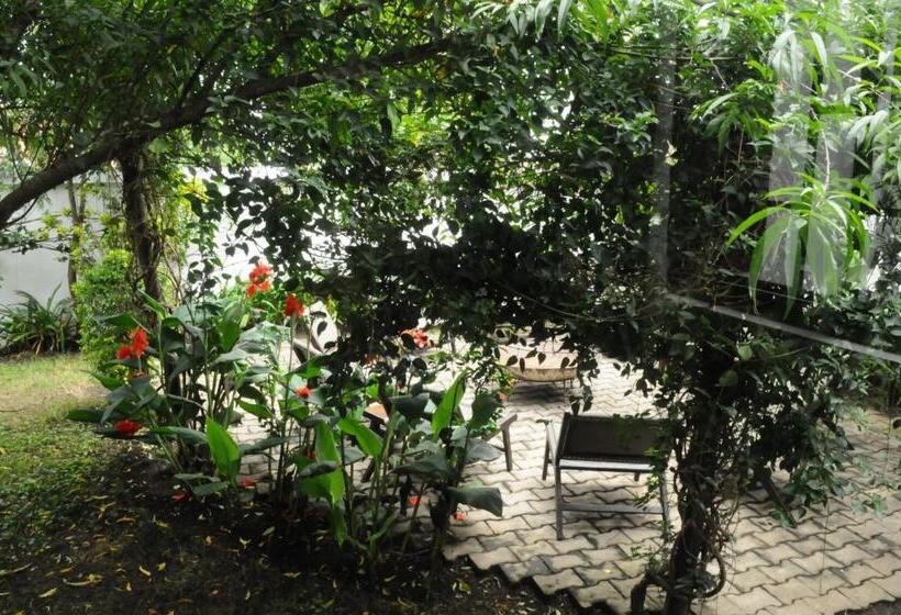 Номер Deluxe, Oya Guest House