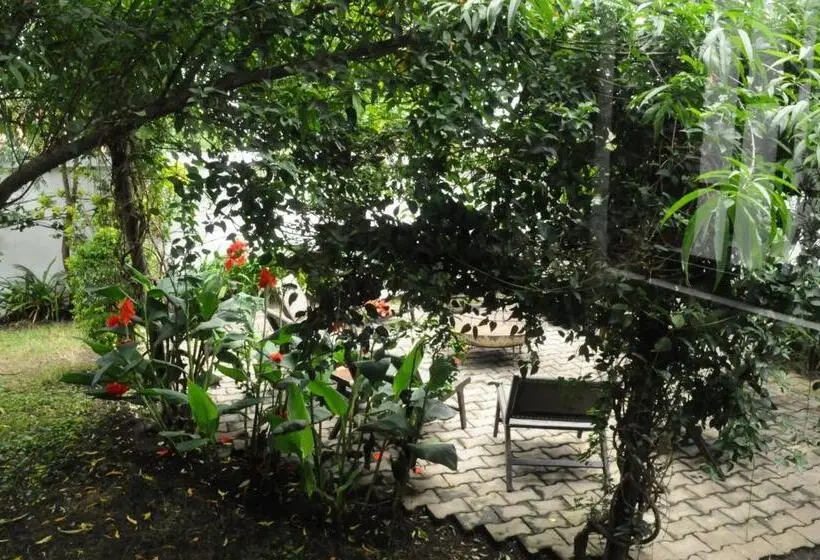 اتاق لوکس, Oya Guest House