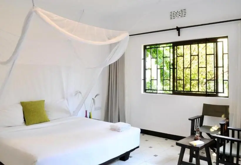 اتاق لوکس, Oya Guest House