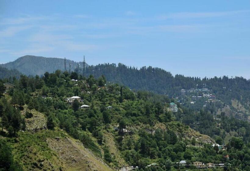 خانه 1 خوابه, Last Resort, Sajjan Gali