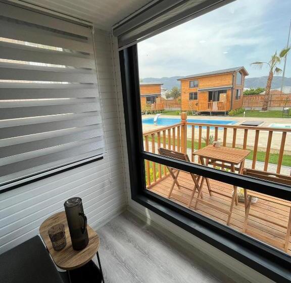 اتاق استاندارد چهار تخته, Palm House