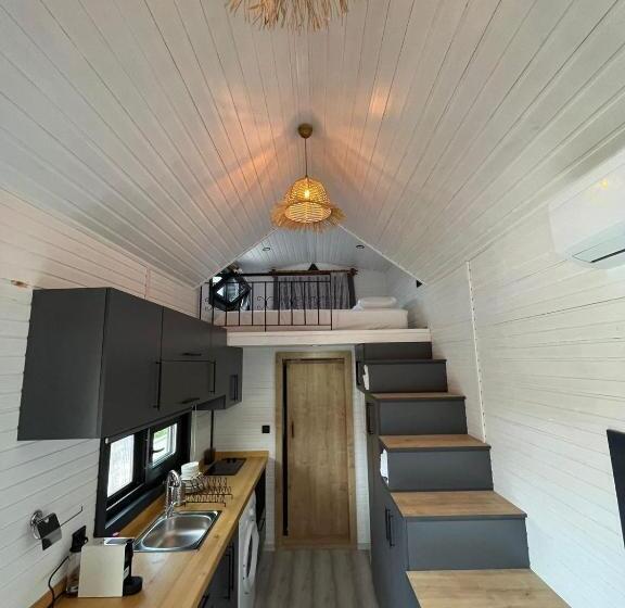 اتاق استاندارد چهار تخته, Palm House