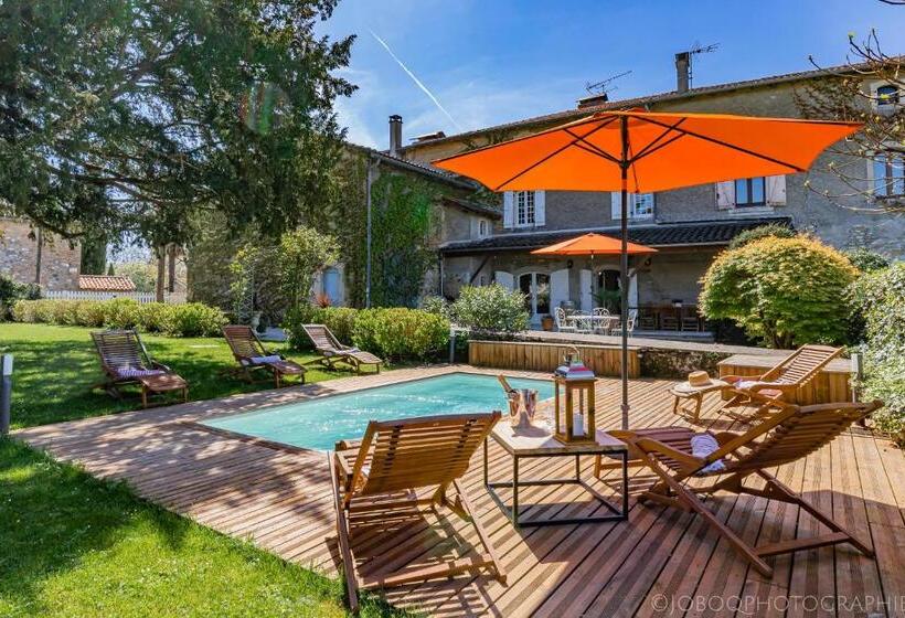 Family Suite, Ostal Cassinia