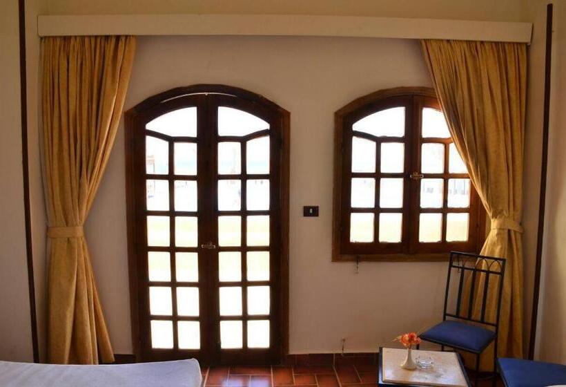 اتاق استاندارد با چشم‌انداز دریا, Dolphin Hotel Safaga