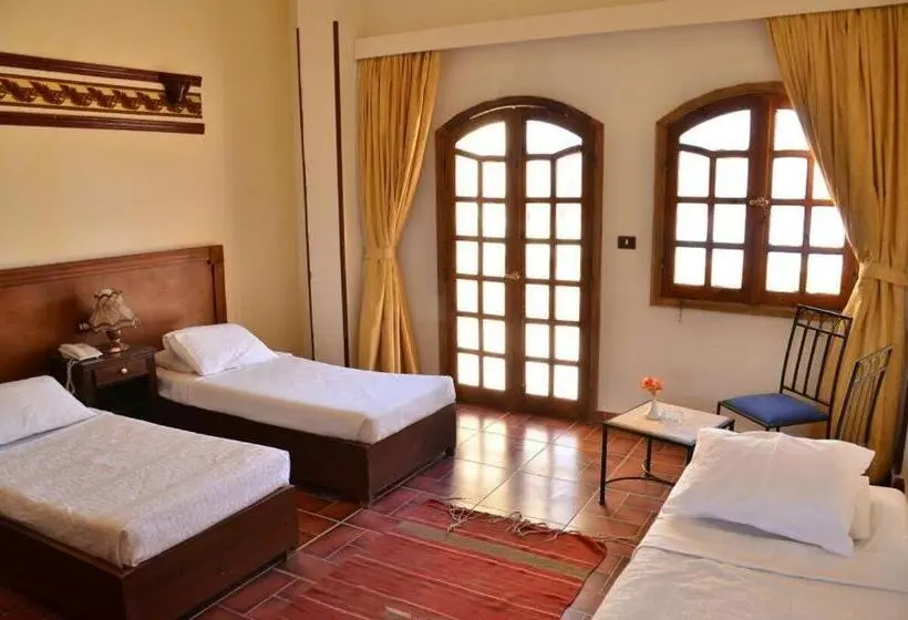 اتاق استاندارد با چشمانداز دریا, Dolphin Hotel Safaga