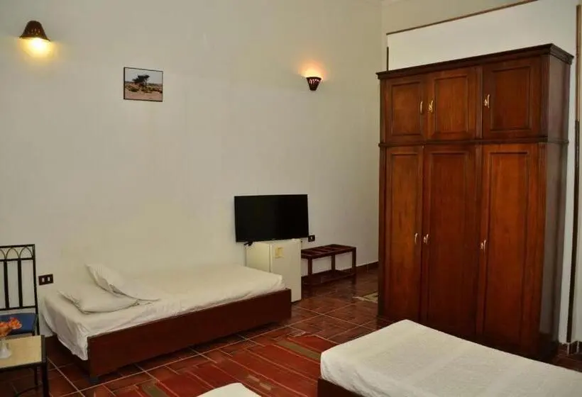 اتاق استاندارد با چشمانداز دریا, Dolphin Hotel Safaga