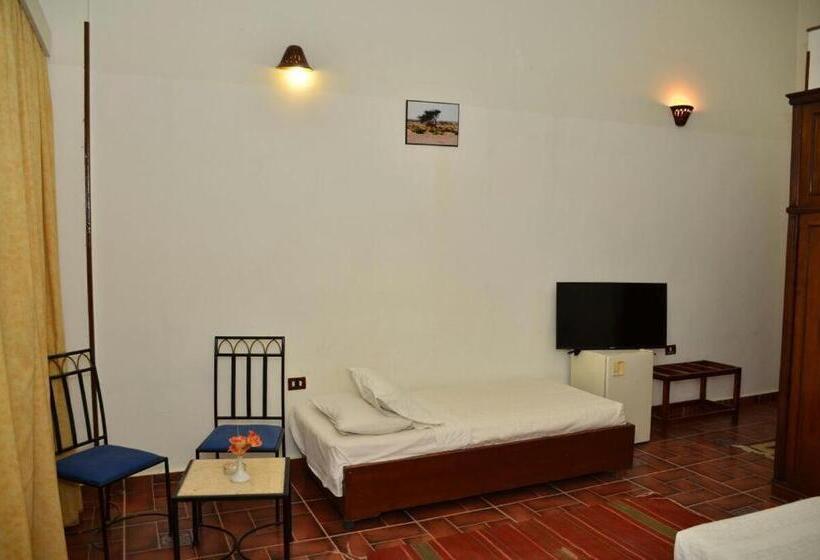 اتاق استاندارد با چشم‌انداز دریا, Dolphin Hotel Safaga