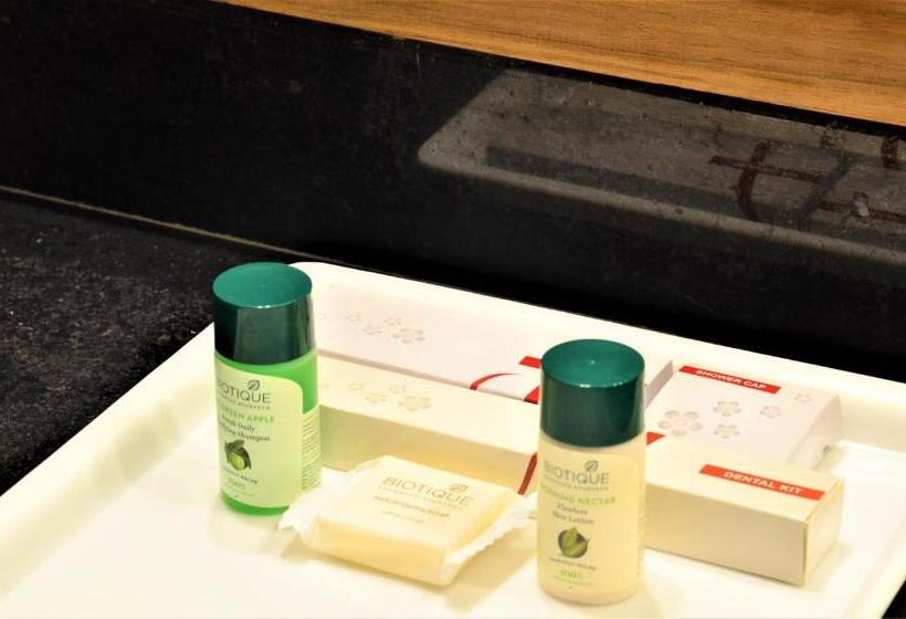 اتاق لوکس, Dev Villa