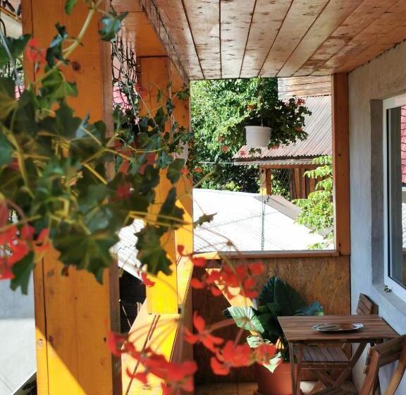 标准三人间, Casa Manu