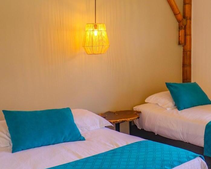 Номер Стандарт, Finca Tesorito