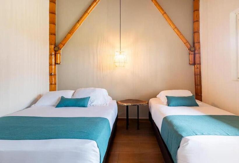 Номер Стандарт, Finca Tesorito