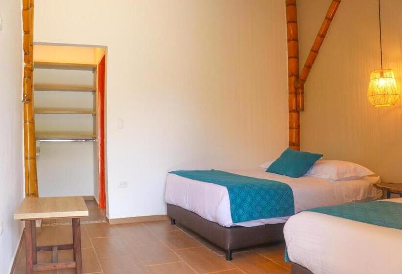 Номер Стандарт, Finca Tesorito