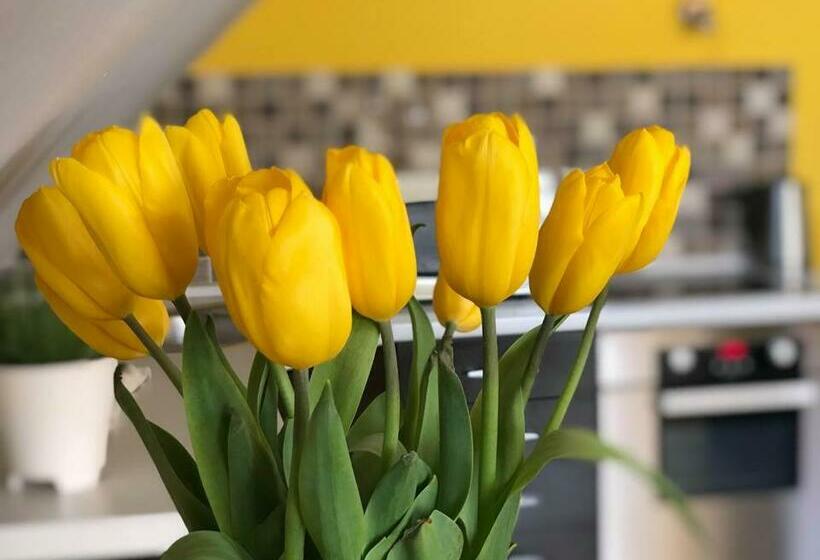 套房, Tulipán Villa Panzió