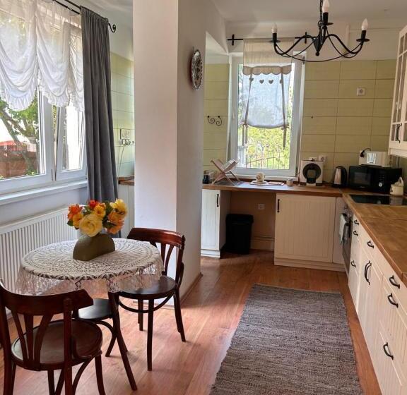 Дом 4 Спальни, Tulipán Villa Panzió