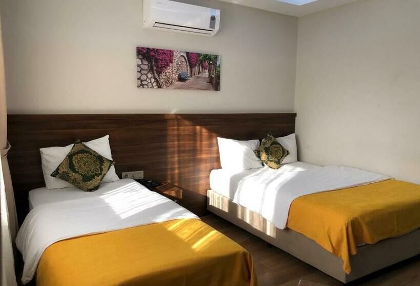 اتاق استاندارد, Samsun Kapris