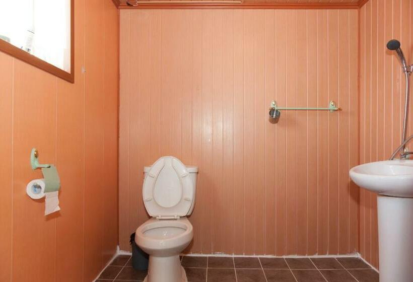 استودیوی لوکس, Sunrise Pension