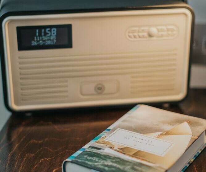 اتاق استاندارد, The Ginger Pig