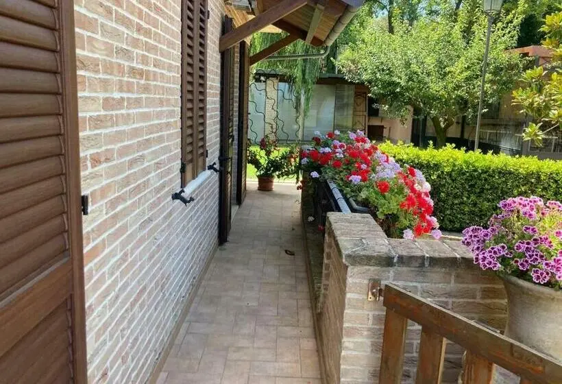 オーシャンビュースイート, B&b Madonna Carradori