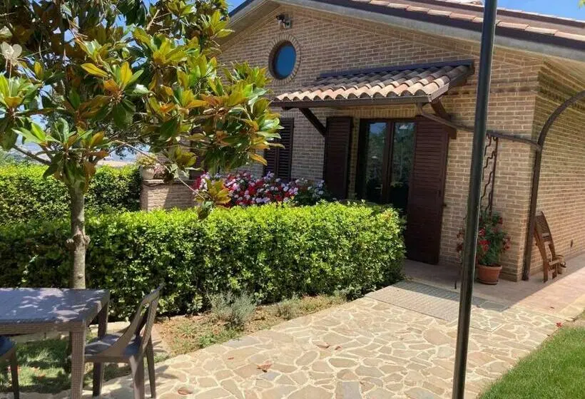 オーシャンビュースイート, B&b Madonna Carradori