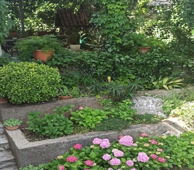 סטודיו דלוקס, Apartments & Rooms Jokovic