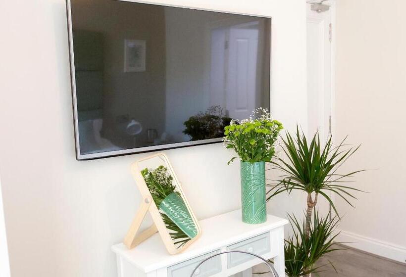 디럭스 룸, The Lane