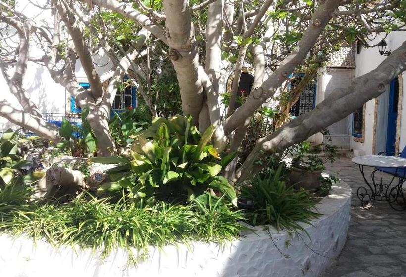 اتاق استاندارد یک نفره, Bou Fares