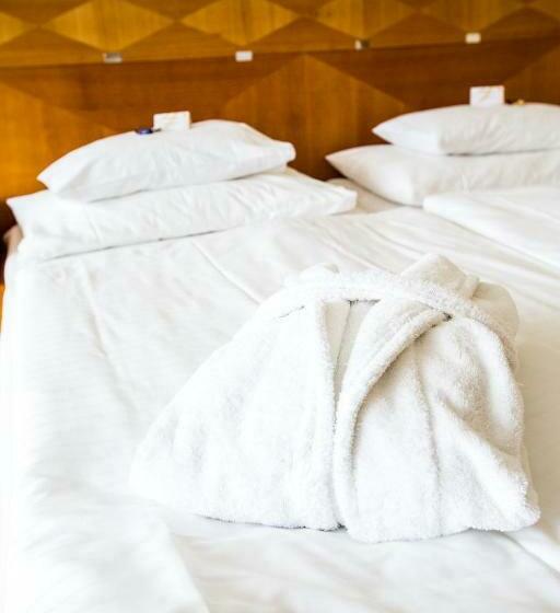 스탠다드 발코니 룸, Badener Hof