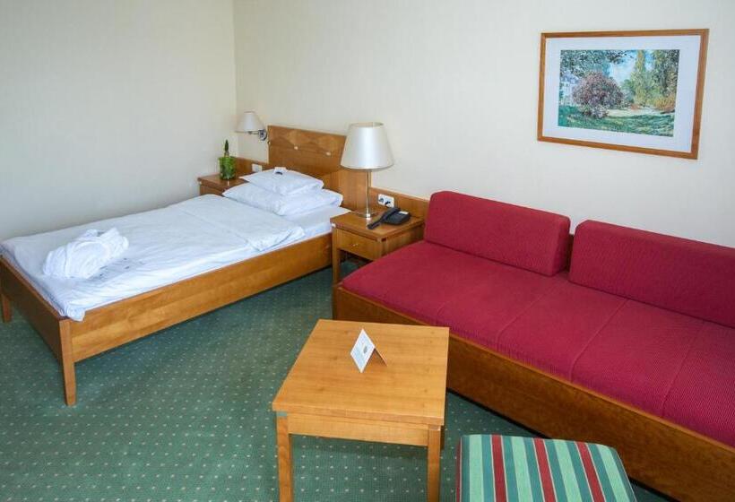 발코니 스탠다드 싱글 룸, Badener Hof