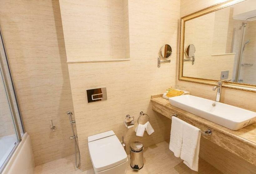 اتاق سوپریور با تخت بزرگ, Sultan Palace