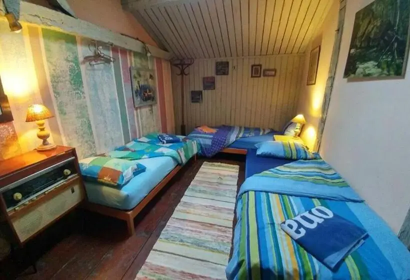 ルームシェアのワンベッド, Rooster Hostel