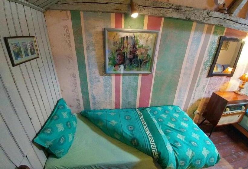 ルームシェアのワンベッド, Rooster Hostel