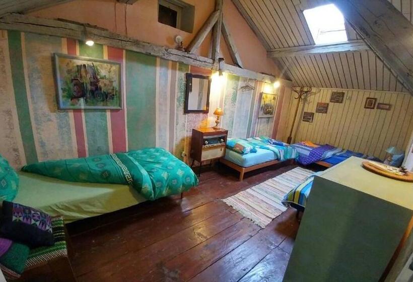 浴室共有スタンダード4人用ルーム, Rooster Hostel