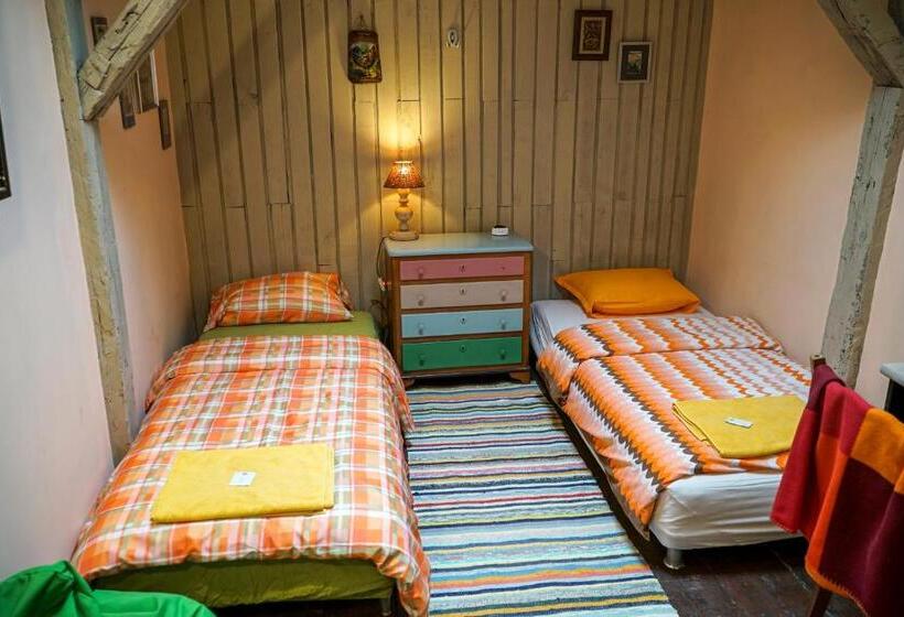 バス共有のスタンダードルーム, Rooster Hostel