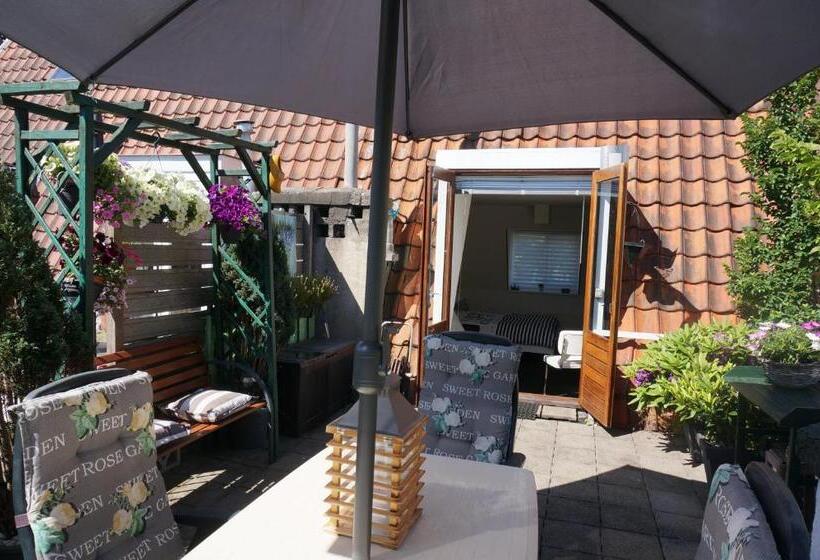 غرفة قياسية مزوَّدة بتراس, Amsterdam Roof Terrace B&b