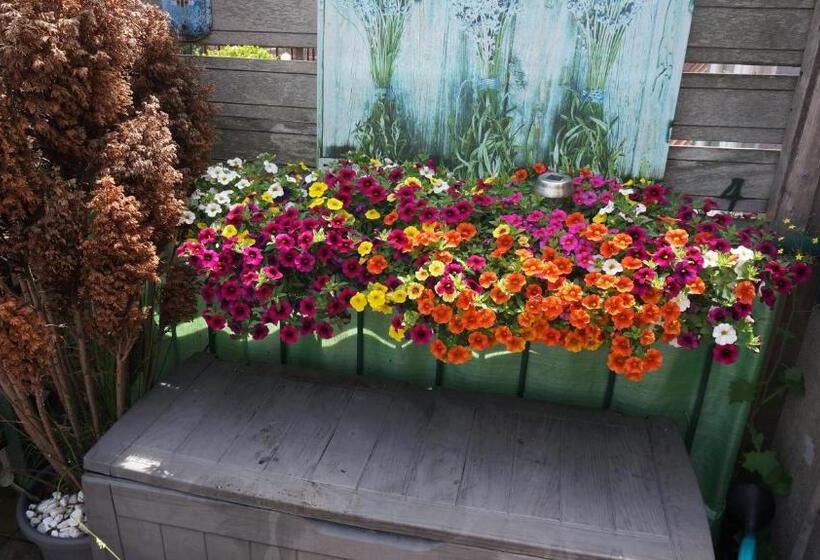 غرفة قياسية مزوَّدة بتراس, Amsterdam Roof Terrace B&b