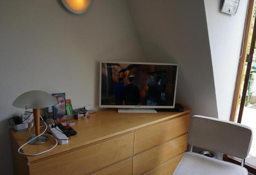 غرفة قياسية مزوَّدة بتراس, Amsterdam Roof Terrace B&b